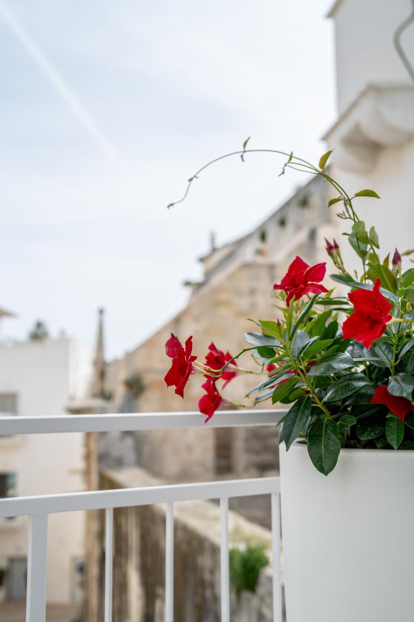 Innesto Rooms - Monopoli Exterior foto